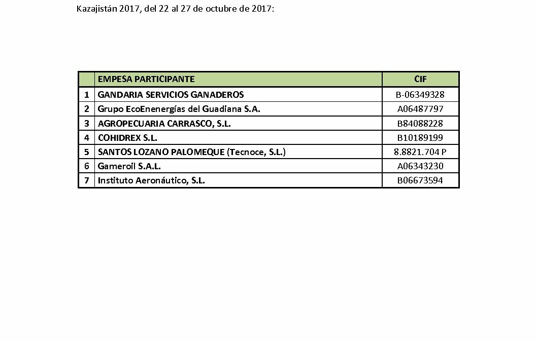 Participantes MCD Sector Industrial Kazajistán 2017
