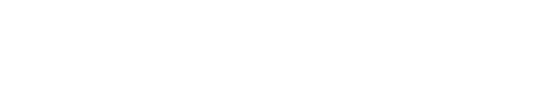 participacioncapitalNEG