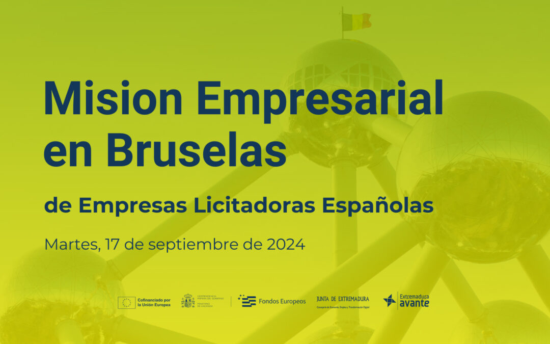 Twitter mision bruselas 2024
