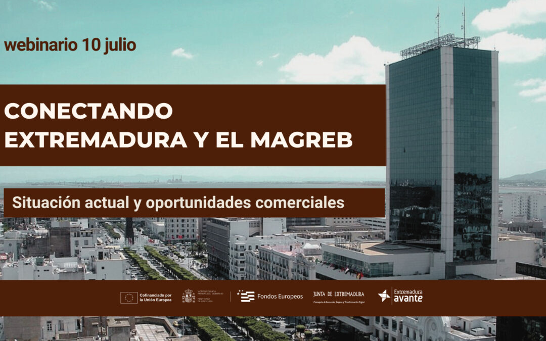 twitter webinario magreb
