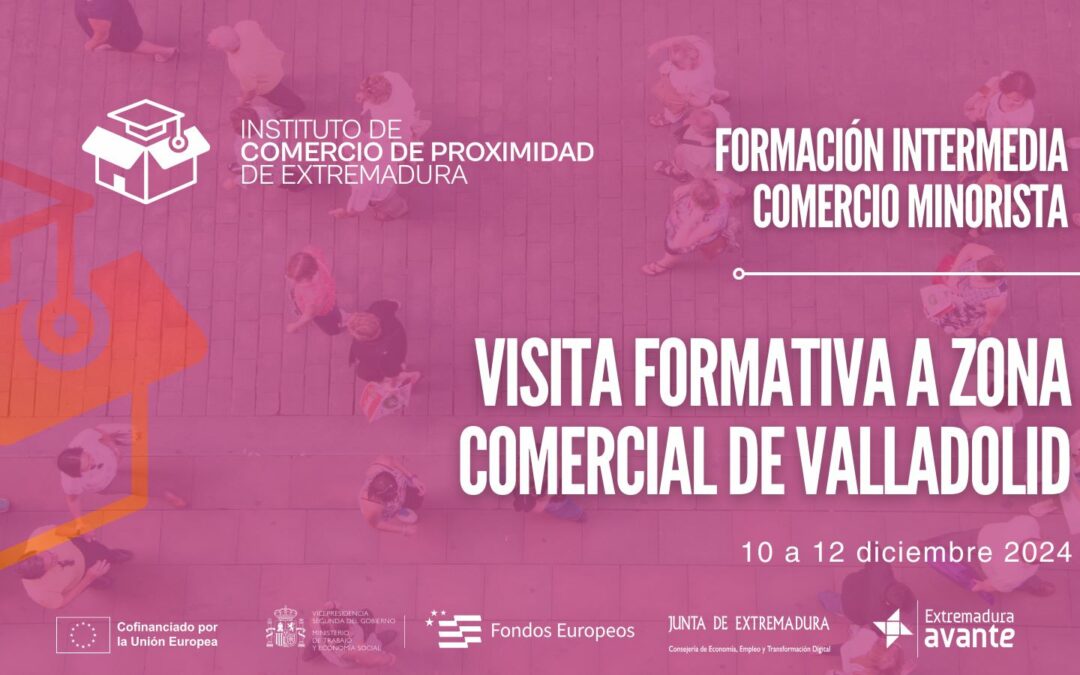 web minorista Visita a Zona Comercial valladolid