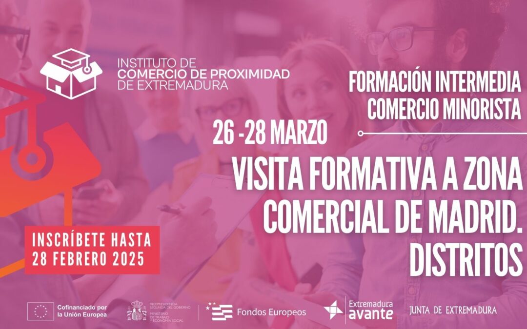 web 2025 ICPE Zona Comercial de Madrid Distritos