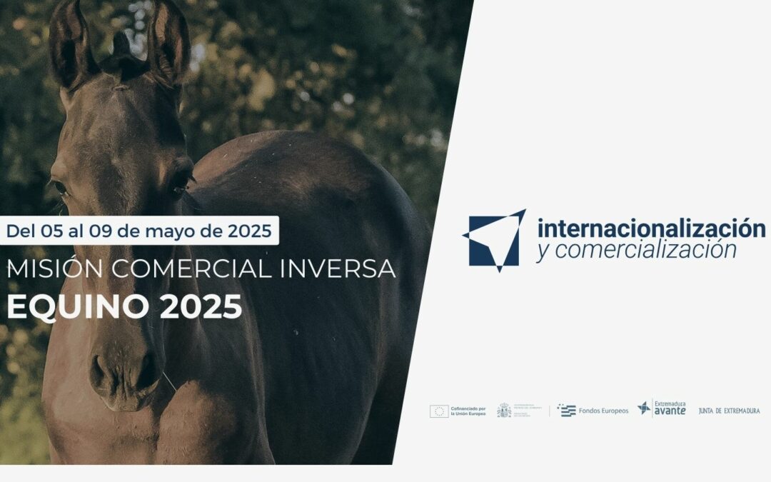 web MCI equino 2025