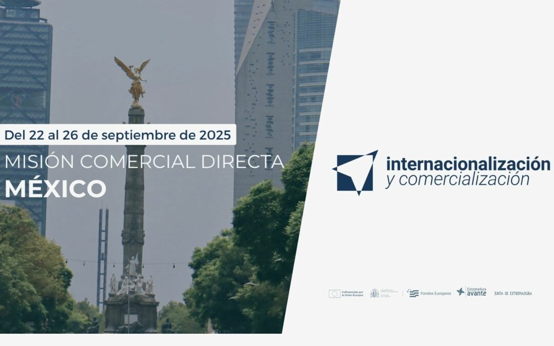 web MCD mexico 2025