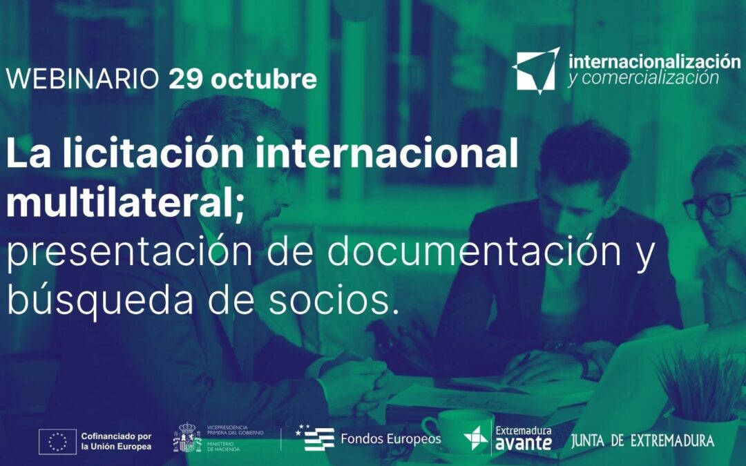 webinario licitacion internacional 2