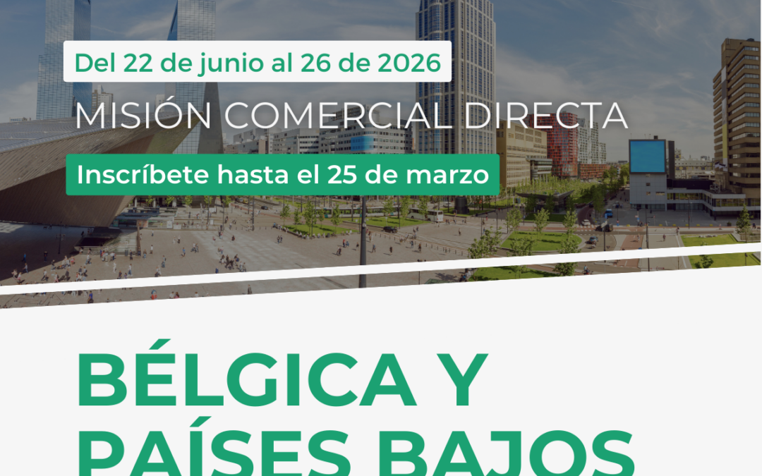 1×1 MCD belgica