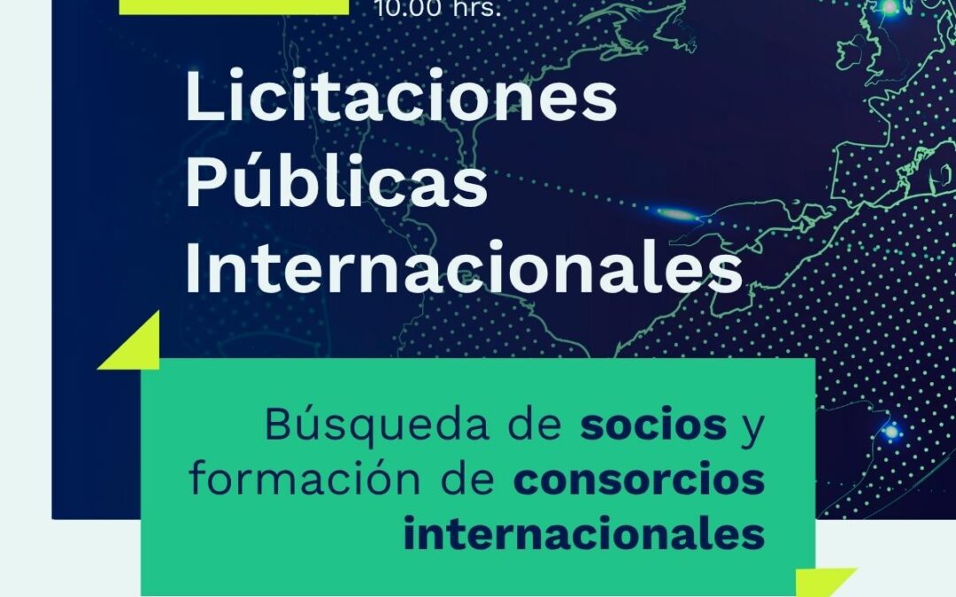 Licitaciones Públicas Internacionales