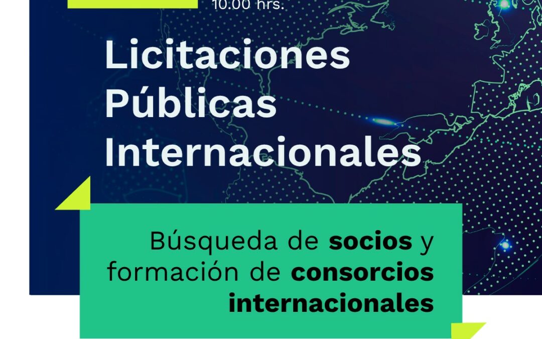 Licitaciones Públicas Internacionales