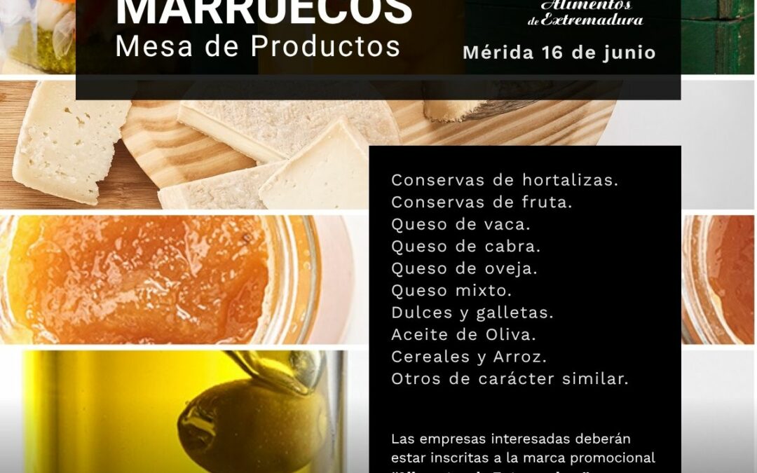MP 1×1 marreucos
