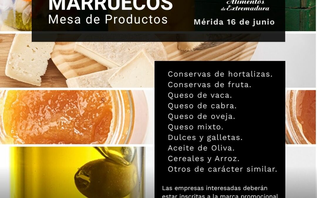 MP 1×1 marreucos