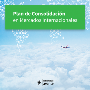 planConsolidacion facebook