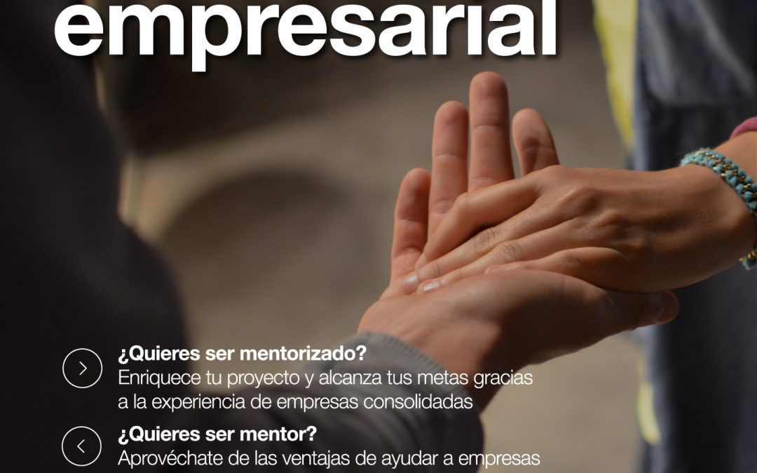 El programa Mentoring Empresarial busca empresarios consolidados para apoyar a nuevos emprendedores