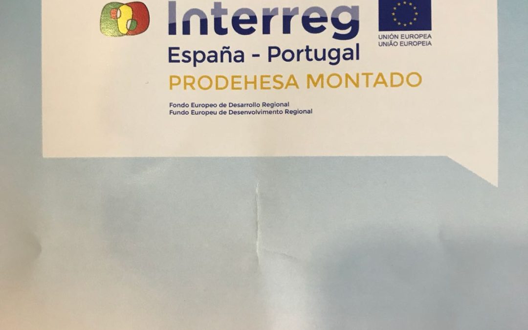 El proyecto Prodehesa-Montado busca el reconocimiento de la UNESCO para la dehesa en España y el montado en Portugal en una única candidatura