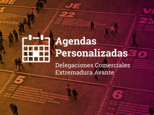 Agendas personalizadas Virtuales 2020