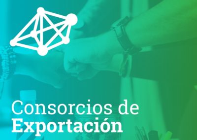 Consorcios de exportación