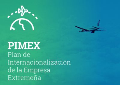 Plan de internacionalización de la empresa extremeña, PIMEX