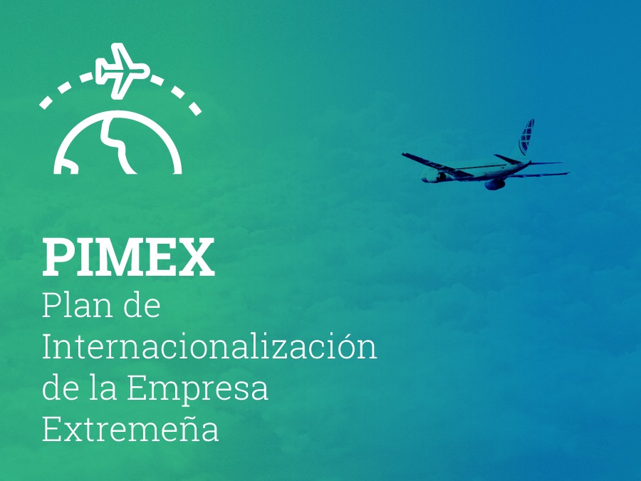 Plan PIMEX y Programa de Consorcios de Exportación 2022. Sesión informativa