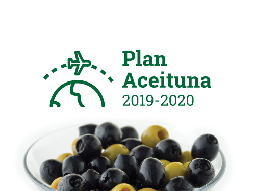 Plan Aceituna 2019-2020