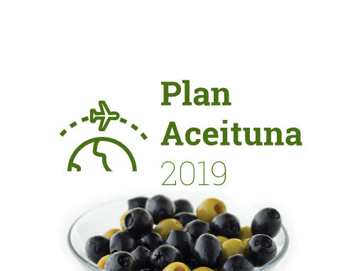Plan Aceituna 2019-2020