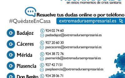 La red PAE atiende más de 1.100 consultas telemáticas durante el estado de alarma