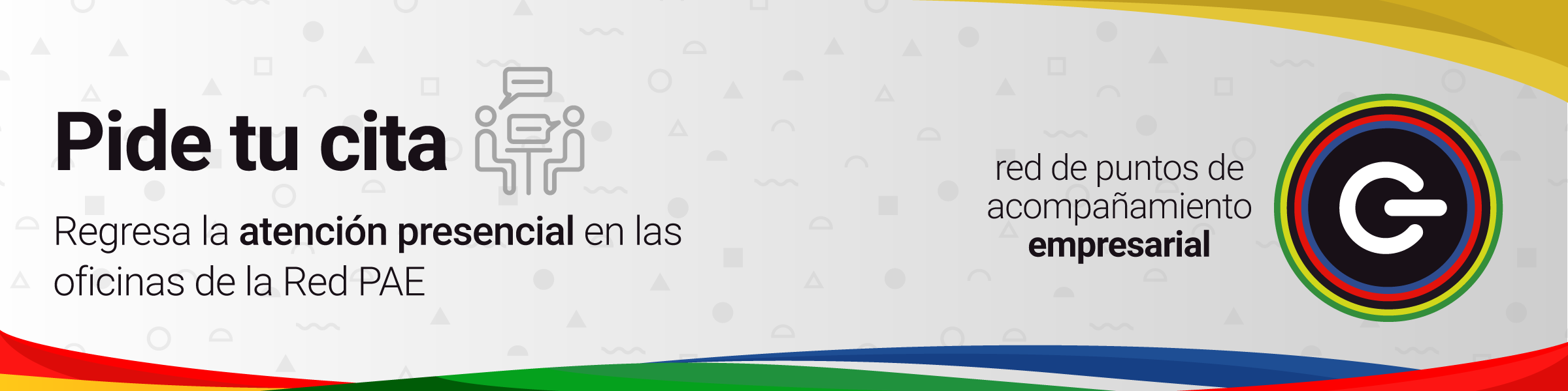 pae-presencial2020
