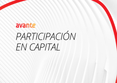 Participación en capital