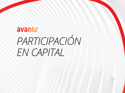 Participación en capital