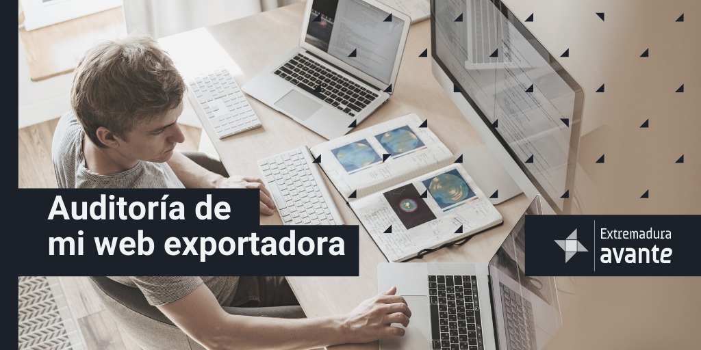 Auditoría de mi web exportadora