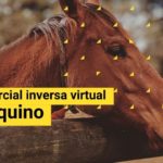 Misión comercial inversa virtual sector Equino 2021