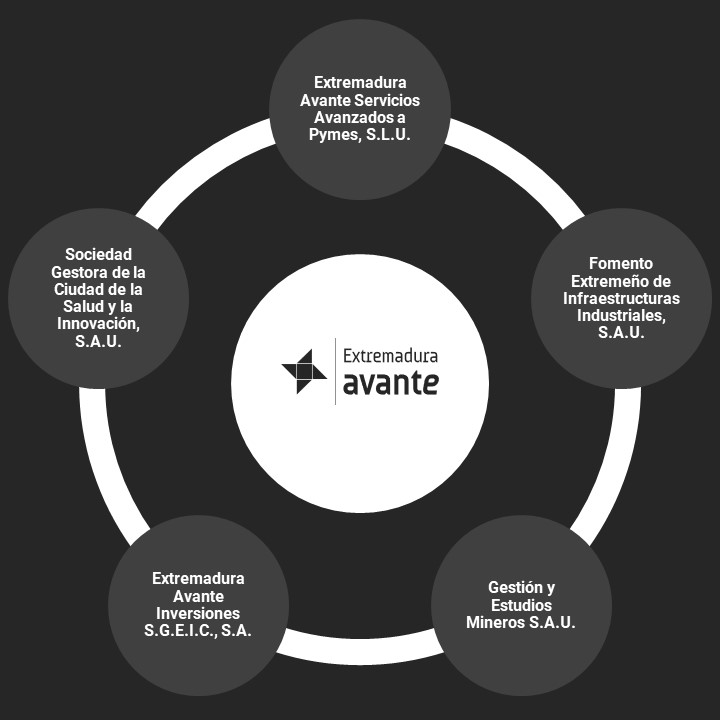 Estructura Empresa Avante Estructura Empresa Avante