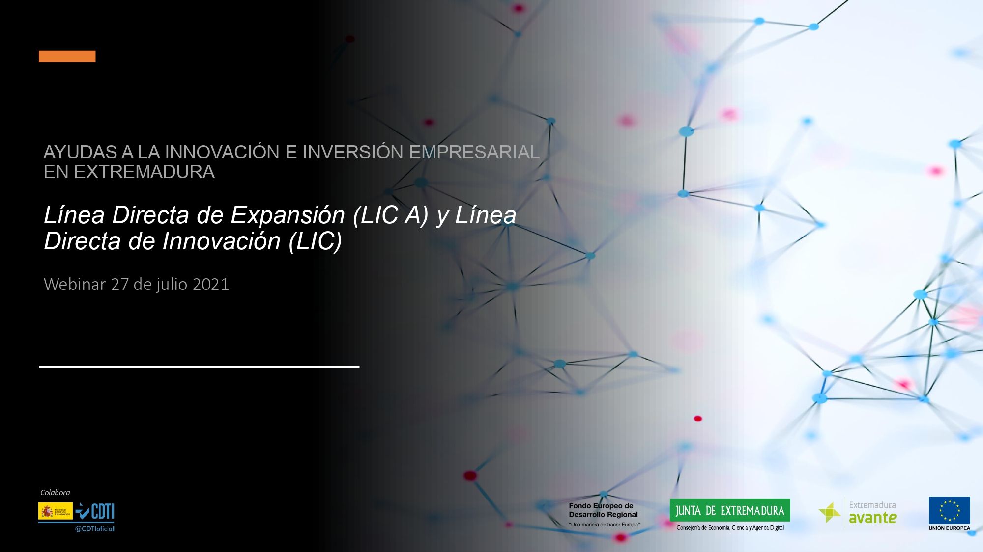 AYUDAS A LA INNOVACIÓN E INVERSIÓN EMPRESARIAL EN EXTREMADURA: Línea Directa de Expansión (LIC A) y Línea Directa de Innovación (LIC)