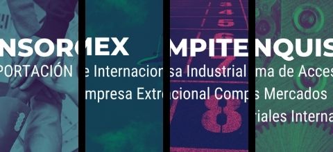 Publicada la convocatoria de ayudas para la participación de empresas extremeñas en los Programas de Impulso a la Internacionalización de Extremadura Avante