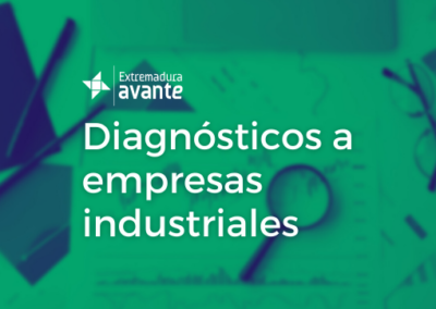 Diagnósticos a empresas industriales