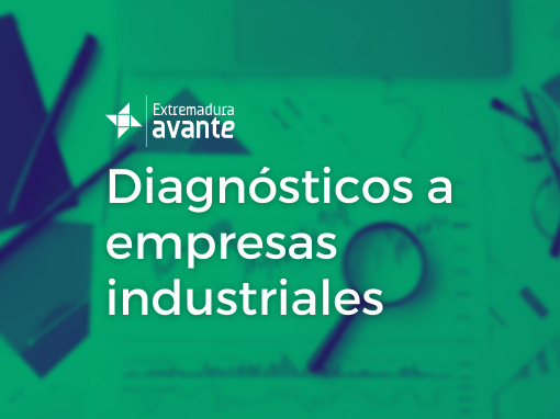 Diagnósticos a empresas industriales