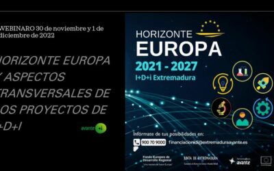 Horizonte Europa y Aspectos Transversales de los Proyectos de I+D+i