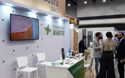 Avante acompaña a empresas extremeñas en Expocomer 2023 y organiza una misión comercial directa en Panamá