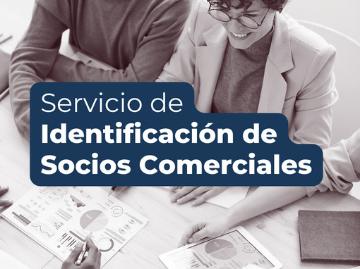 Protegido: Servicio de identificación de socios comerciales 2024