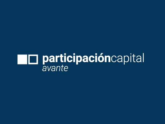 Participación en capital