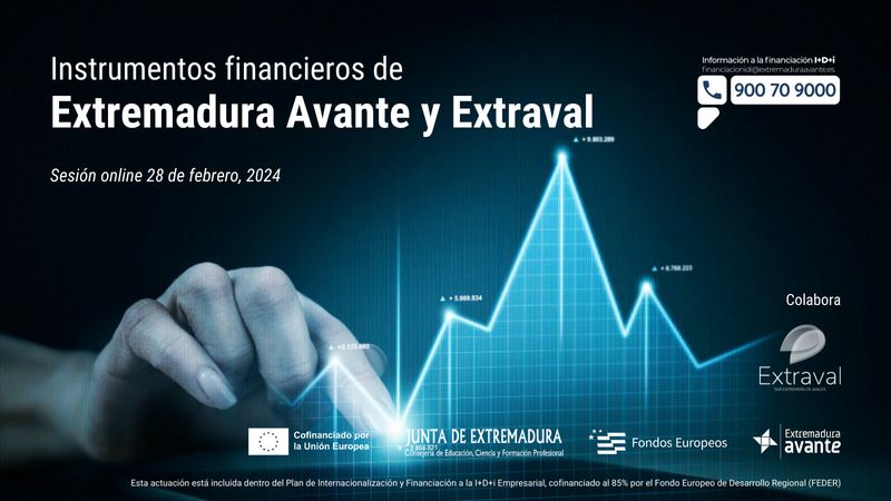 Sesión Instrumentos Financieros de Extremadura Avante y Extraval