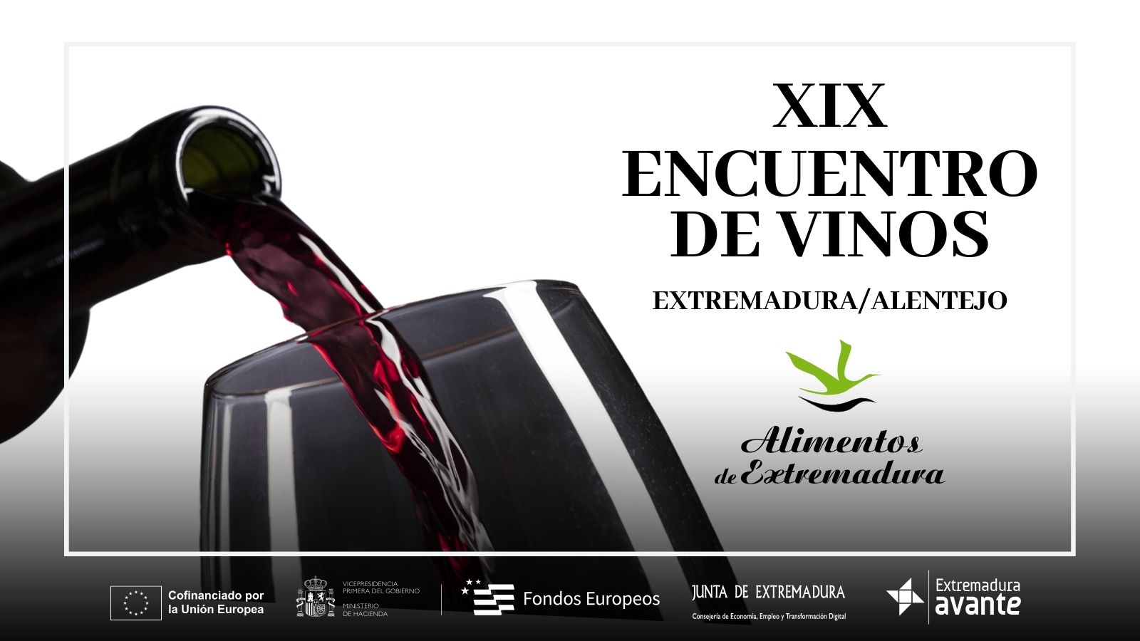 web XIX encuentro vinos