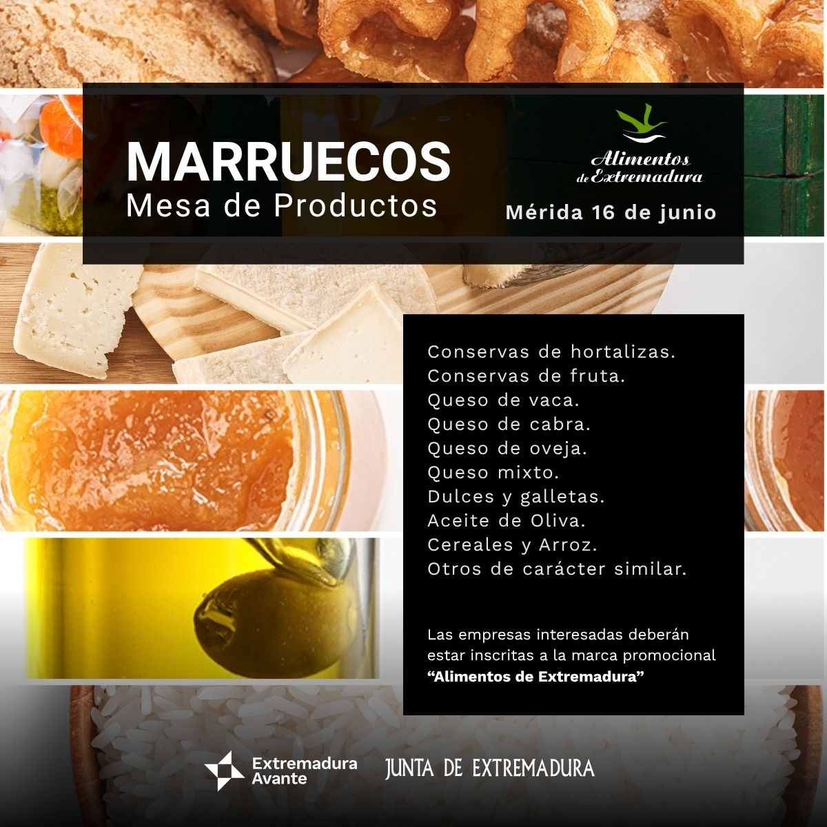 MP 1×1 marreucos